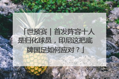 世预赛｜首发阵容十人是归化球员，印尼这把底牌国足如何应对？